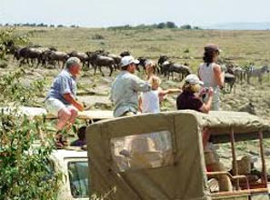 4 Days Masai Mara Lodge Safari