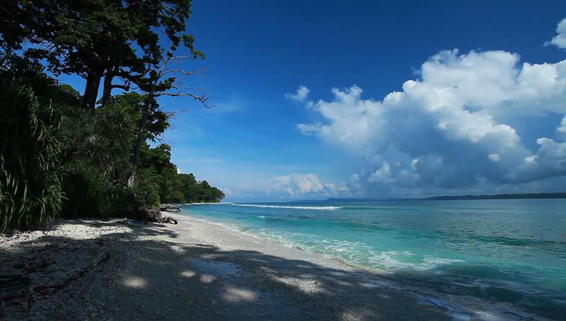 Awesome Andaman With Havelock Island