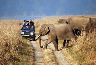 North India Vacations Tour By Car