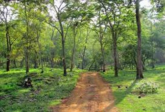 Delightful Coorg With Kabini Tour