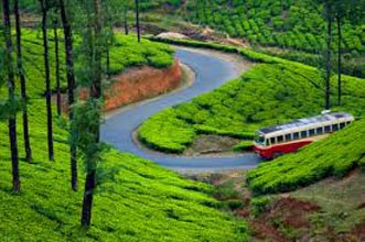 Splendid Munnar Kerala Tour Package | 3 Days & 2 Nights