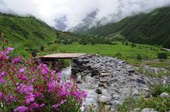 Romantic Sikkim Honeymoon Tour Package: Gangtok & Lachung | 5 Days & 4 Nights