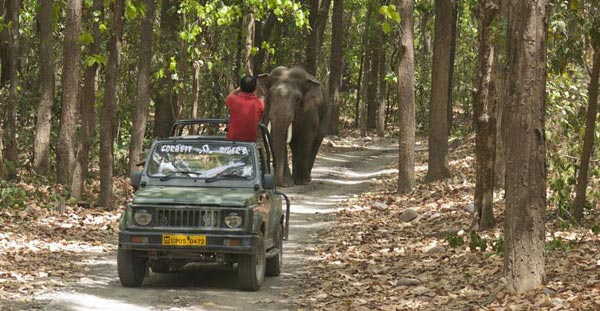 Simply Kumaon with Delight Garhwal Tour