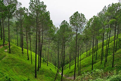Simply Uttarakhand Tour