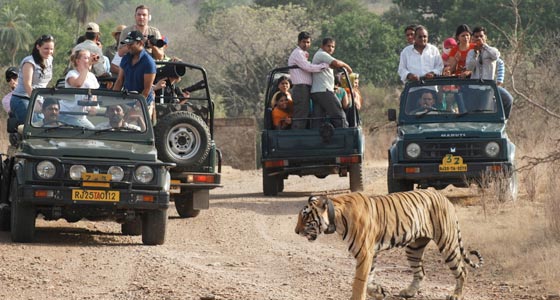 Heritage & Wildlife Tour of Rajasthan