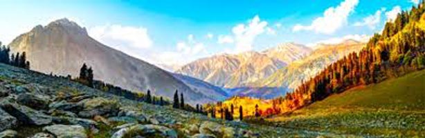 Beautiful Srinagar & Gulmarg with Sonamarg Tour