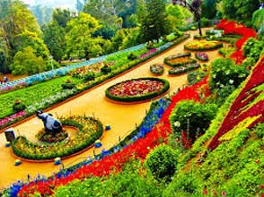 Ooty Hill Tour Package