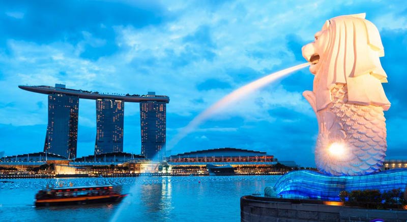 Singapore Tour With Cruise