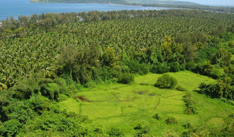 Mahabaleshwar Hills to Ratnagiri Beaches Tour