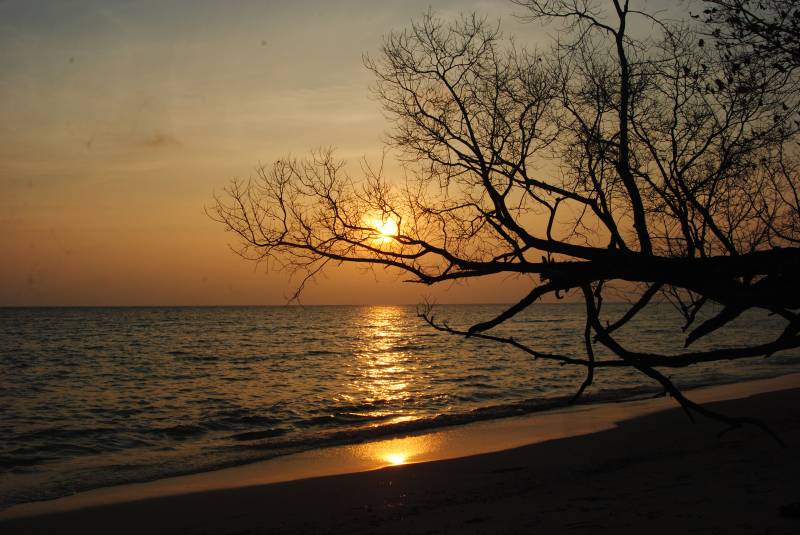 Havelock Tour Package