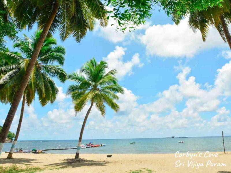 Havelock Luxury Tour Package