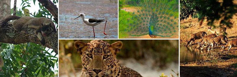 Heritage Holiday package