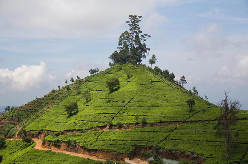 Holiday Plan Package