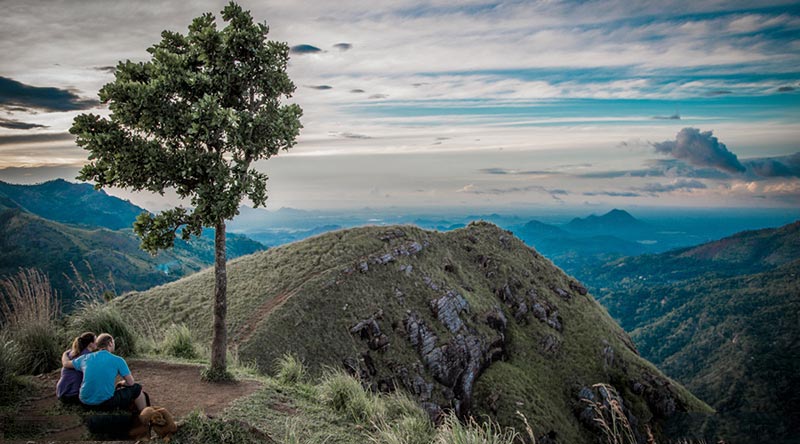 Holiday Plan Package