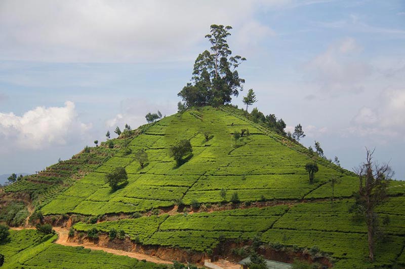 Relax Holiday Plan Package