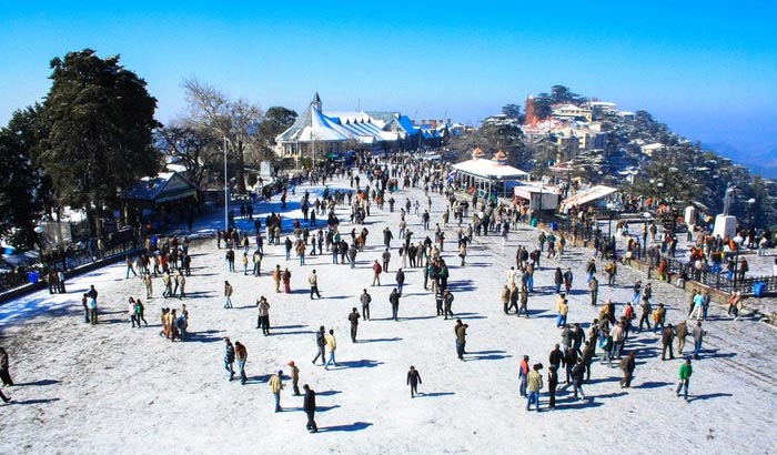 Exotic Shimla Tour