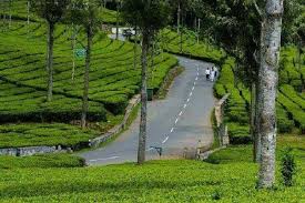 Bangalore Mysore Ooty Tour Package