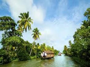 Honeymoon Tour Of Kerala