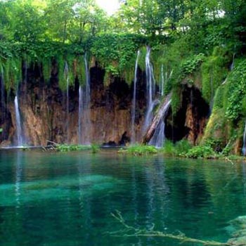 Amazing Meghalaya 4 Nights 5 Days Tour