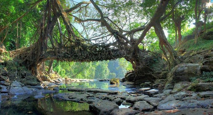 Mawlynnong Dawki Tour