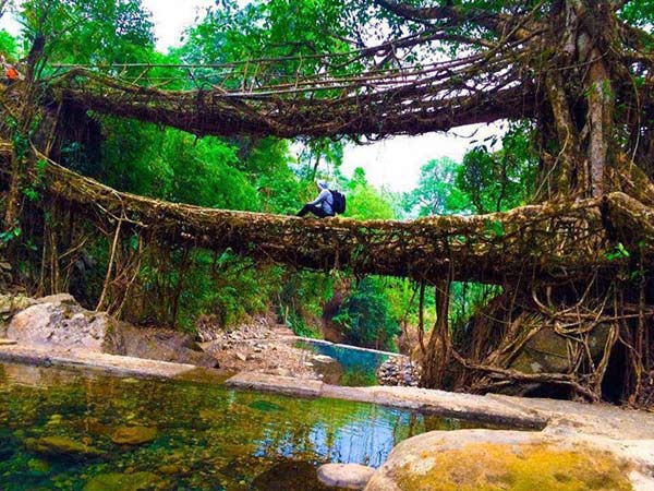 Meghalaya Adventure Tour 5 Nights 6 Days