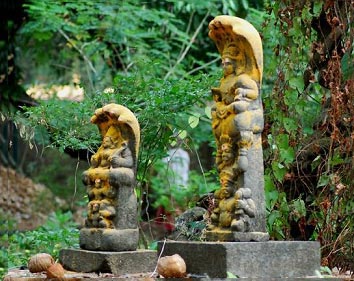 Exclusive Kaziranga Shillong Tour