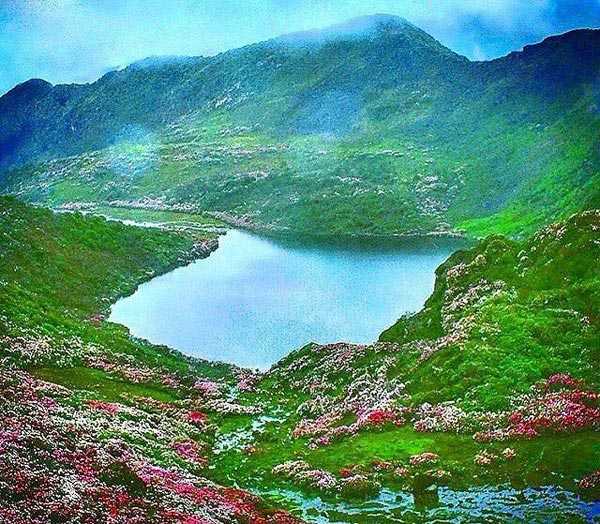 North East Nature Tour