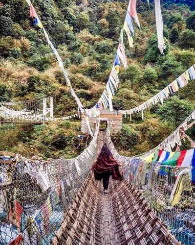 North East Nature Tour