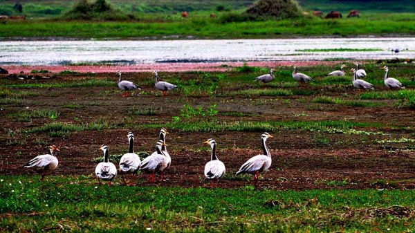 North East Nature Tour