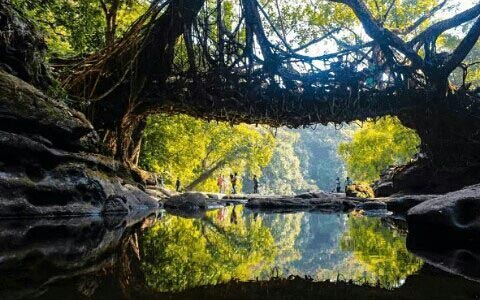 North East Nature Tour