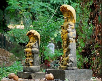 Tawang Kaziranga Shillong Tour