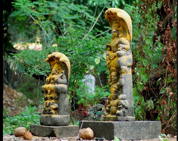 12 Days Tawang Ziro Tour