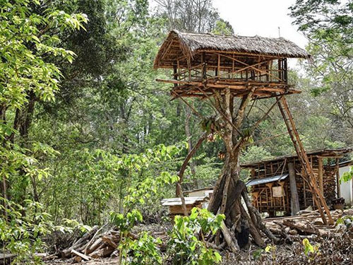 8 Days Nameri Meghalaya Tour