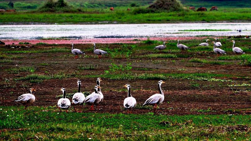 8 Days Nameri Meghalaya Tour