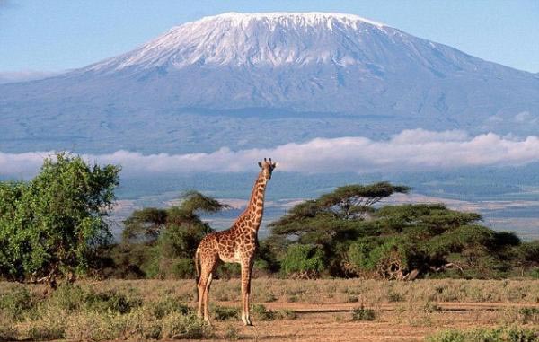 Kilimanjaro Trekking Via Machame Route Tour