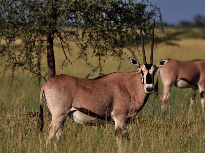 Enjoy An Amazing East Tour Of This Country