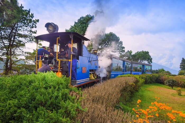 4 Night 5 Days, Darjeeling & Gangtok Honeymoon Package