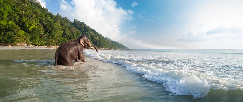 6 Night 7 Days Andaman Tour Package