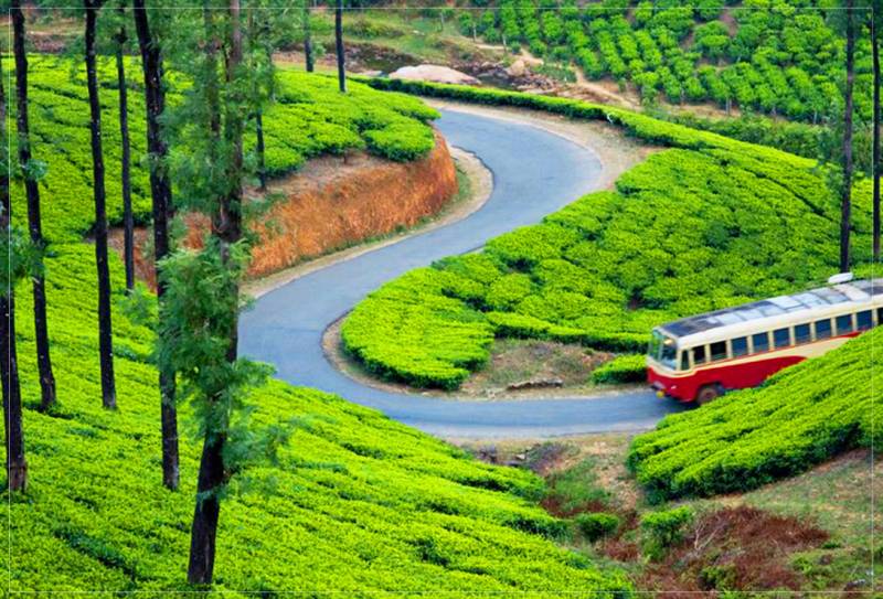 9 Night 10 Days Experience Kerala