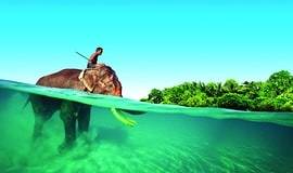 4 Nights 5 Days Awesome Andaman