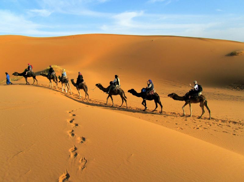 Rajasthan Desert Safari Tour