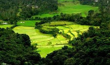 4 Blissful Days In Coorg Tour