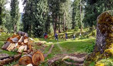 Chanderkhani To Malana Trek 3N/4D Tour