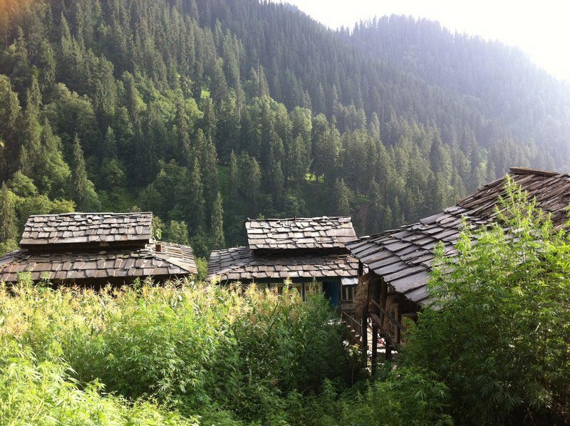 Lotus Pound Camping Tour