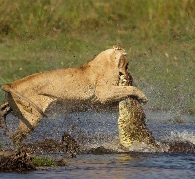 Best of Botswana 5 Nights Tour