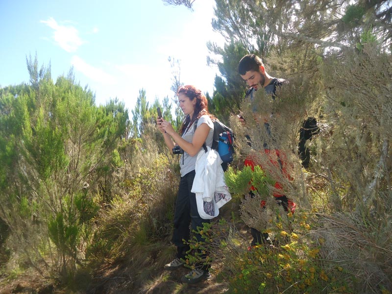 6-Day Kilimanjaro Trekking via Machame Route Tour