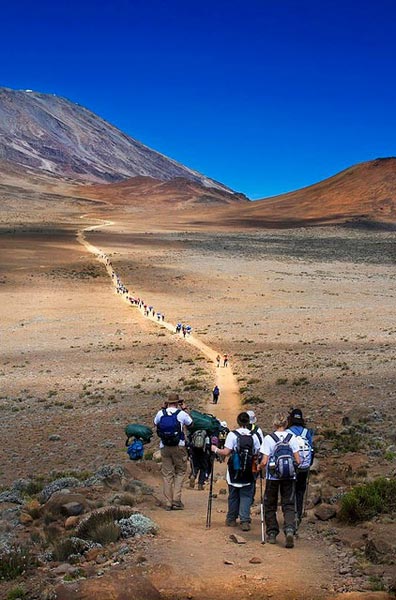 6-Day Kilimanjaro Trekking via Machame Route Tour