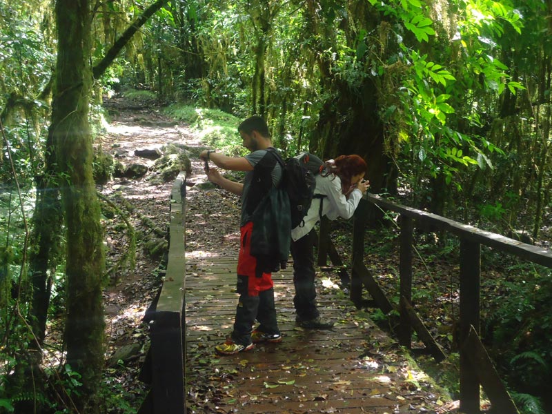 5-Day Trek Marangu Route Tour