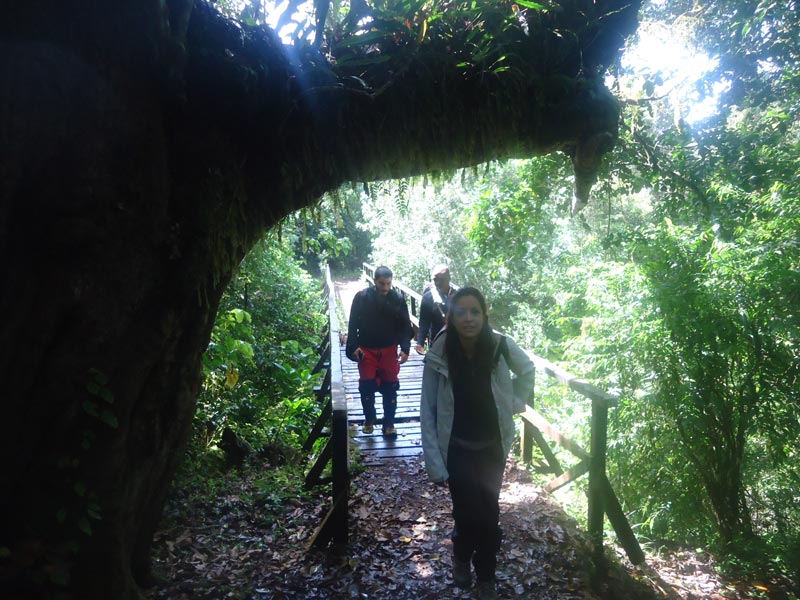 5-Day Trek Marangu Route Tour