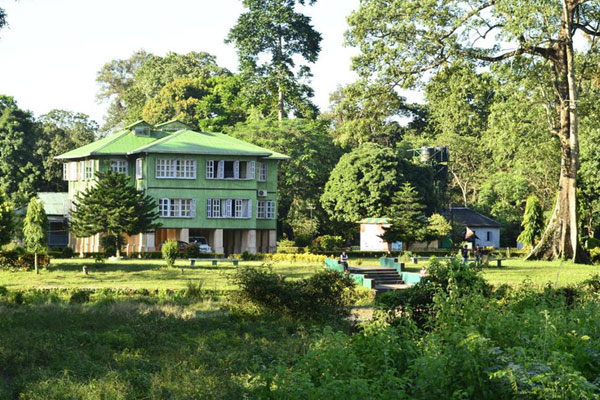 Jaldapra Gorumara Kalimpong Deluxe Tour Image